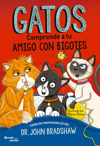 Gatos. Comprende a tu amigo con bigotes