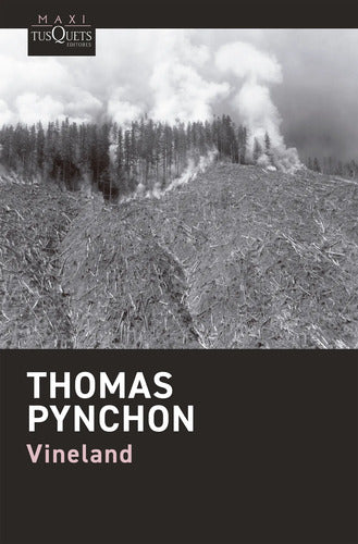 Vineland -  Thomas Pynchon