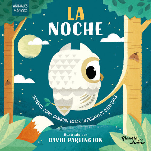 Animales mágicos. La noche