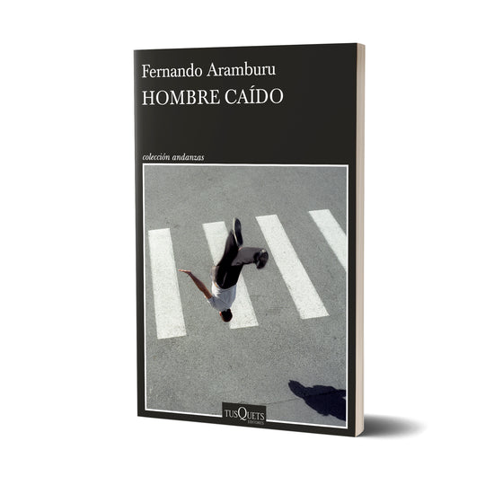 Hombre caído - Fernando Aramburu