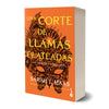 Una corte de llamas plateadas - Sarah J. Maas
