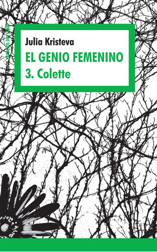 El genio femenino 3. Colette